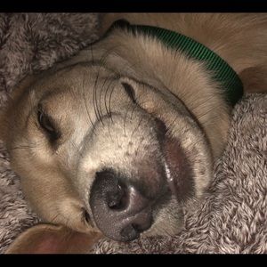 Meet your Posher, Meredith